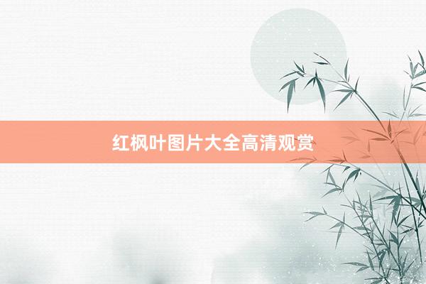 红枫叶图片大全高清观赏